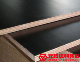 建筑模板多少钱一块?